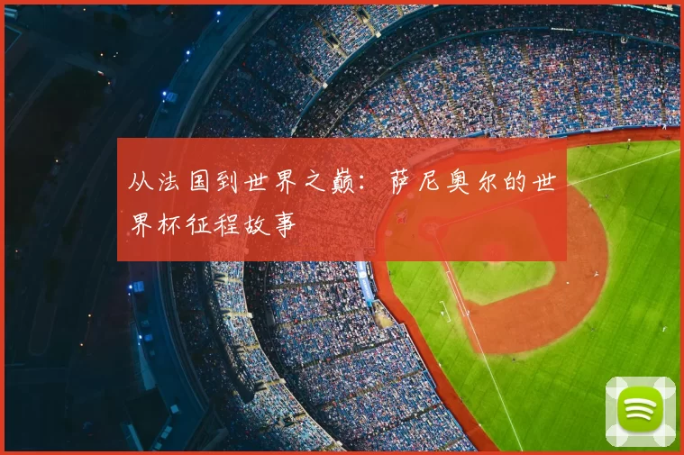 从法国到世界之巅:萨尼奥尔的世界杯征程故事