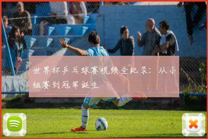 世界杯乒乓球赛视频全纪录:从小组赛到冠军诞生