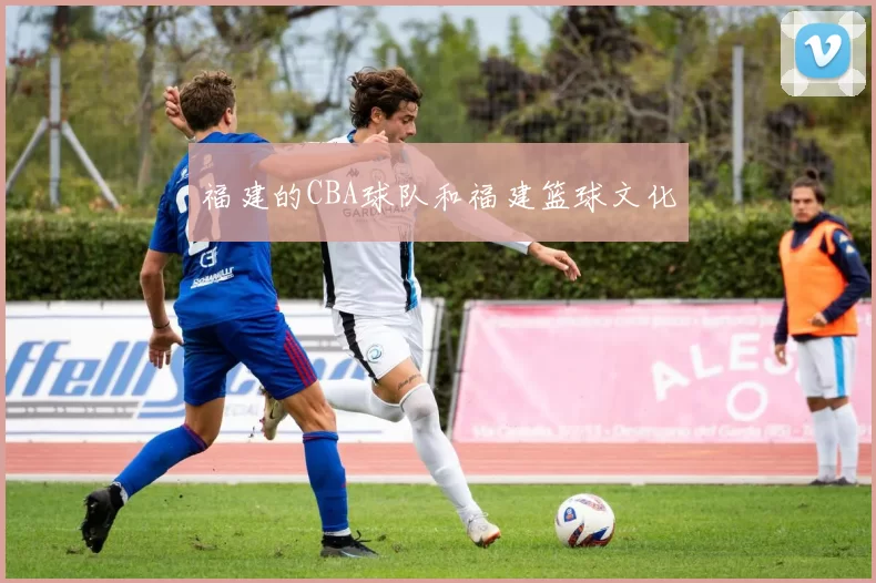 福建的CBA球队和福建篮球文化