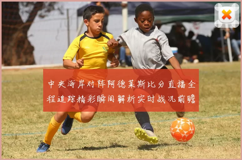 中央海岸对阵阿德莱斯比分直播全程追踪精彩瞬间解析实时战况前瞻
