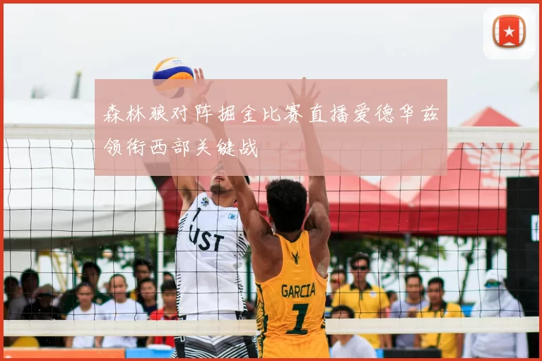 森林狼对阵掘金比赛直播爱德华兹领衔西部关键战