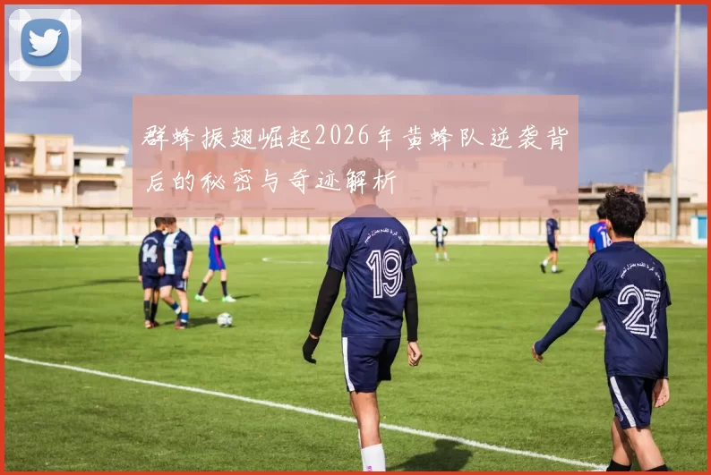 群蜂振翅崛起2026年黄蜂队逆袭背后的秘密与奇迹解析