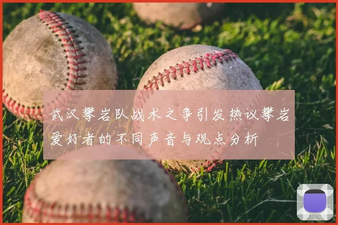 武汉攀岩队战术之争引发热议攀岩爱好者的不同声音与观点分析