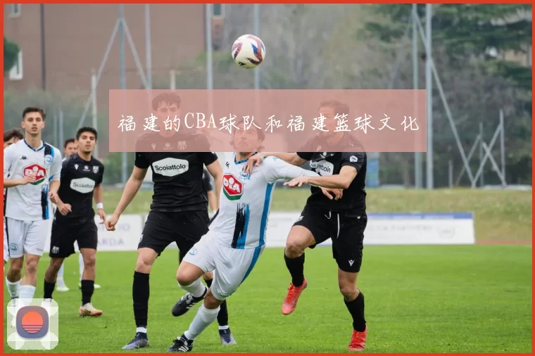 福建的CBA球队和福建篮球文化