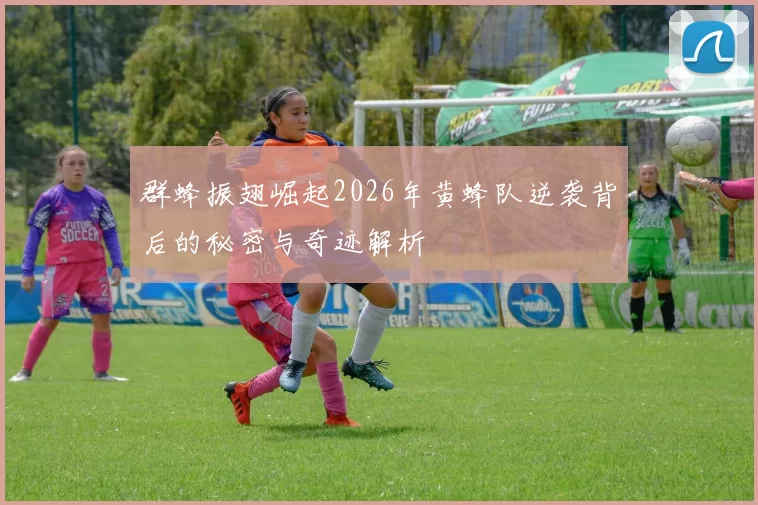 群蜂振翅崛起2026年黄蜂队逆袭背后的秘密与奇迹解析