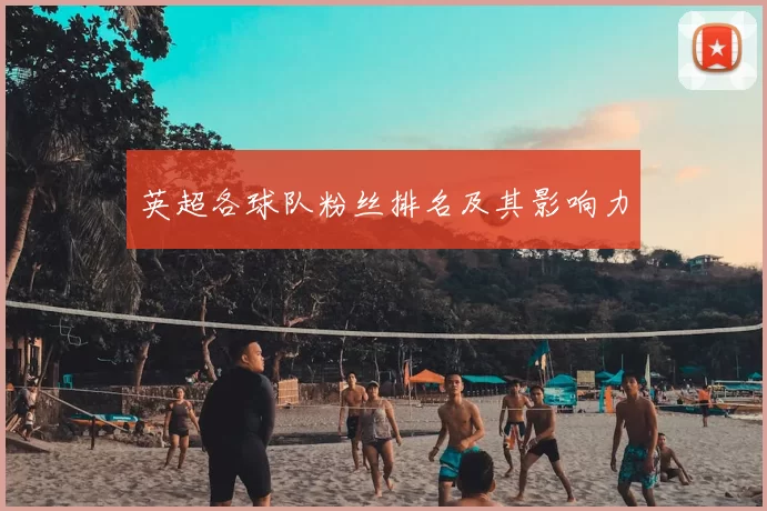 英超各球队粉丝排名及其影响力