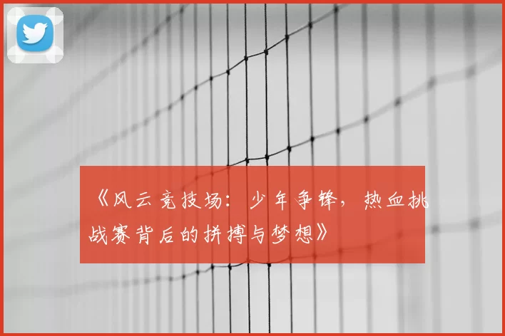 《风云竞技场：少年争锋，热血挑战赛背后的拼搏与梦想》