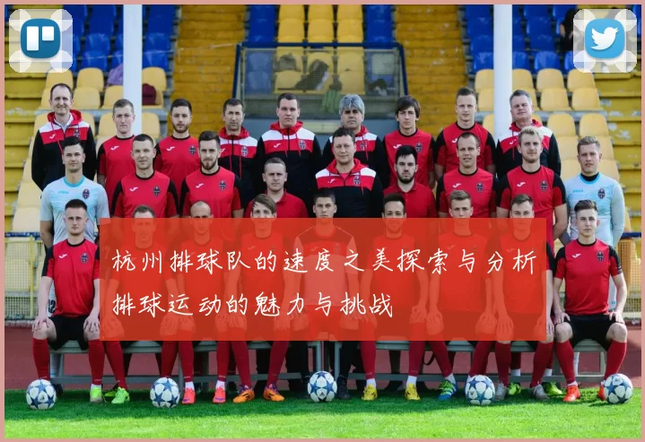 杭州排球队的速度之美探索与分析排球运动的魅力与挑战
