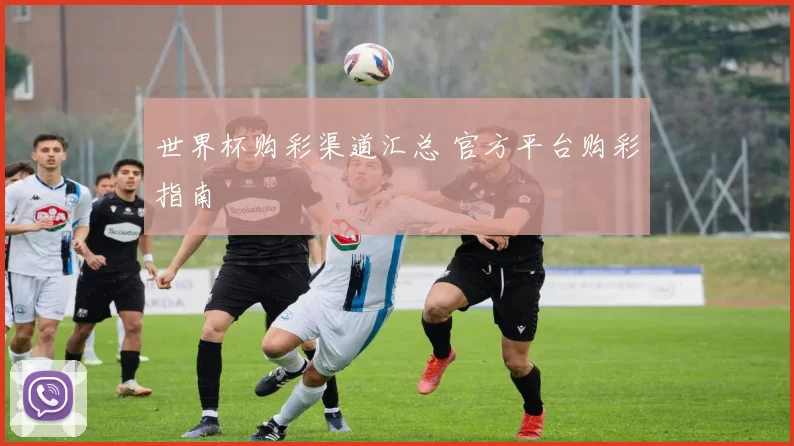 世界杯购彩渠道汇总 官方平台购彩指南