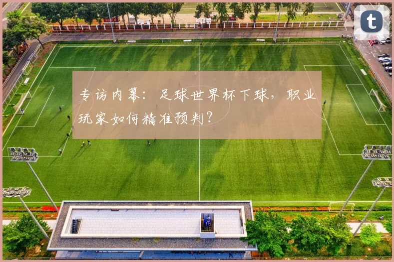 专访内幕：足球世界杯下球，职业玩家如何精准预判？