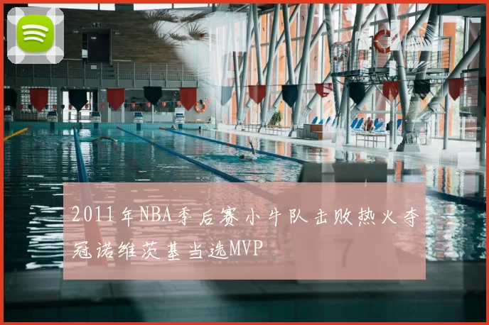 2011年NBA季后赛小牛队击败热火夺冠诺维茨基当选MVP