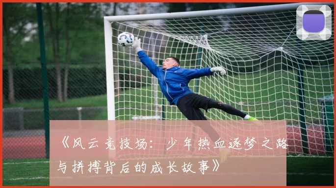 《风云竞技场：少年热血逐梦之路与拼搏背后的成长故事》