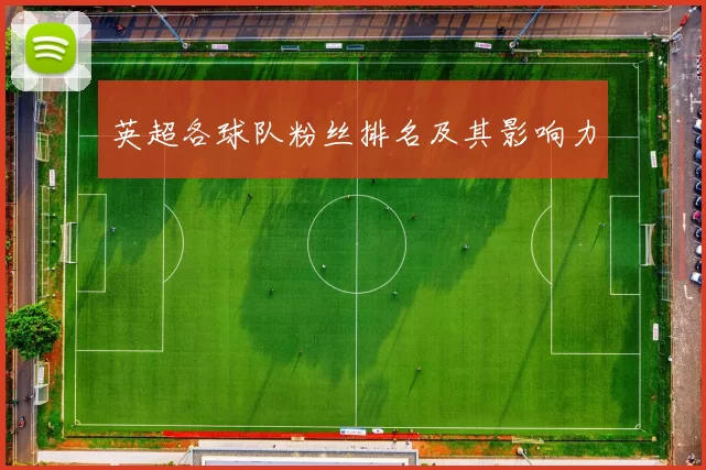 英超各球队粉丝排名及其影响力
