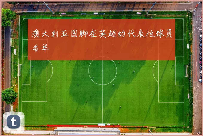 澳大利亚国脚在英超的代表性球员名单