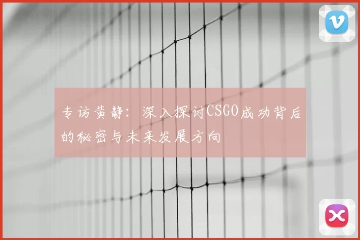 专访黄静：深入探讨CSGO成功背后的秘密与未来发展方向