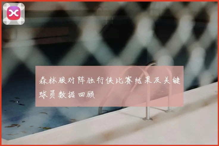 森林狼对阵独行侠比赛结果及关键球员数据回顾