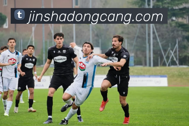 多媒体互动体验